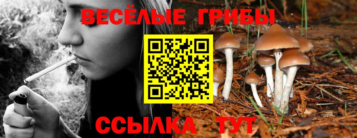 Галлюциногенные грибы Magic Shrooms  Вход с VPN  Осинники  Псилоцибиновые грибы ЛСД 