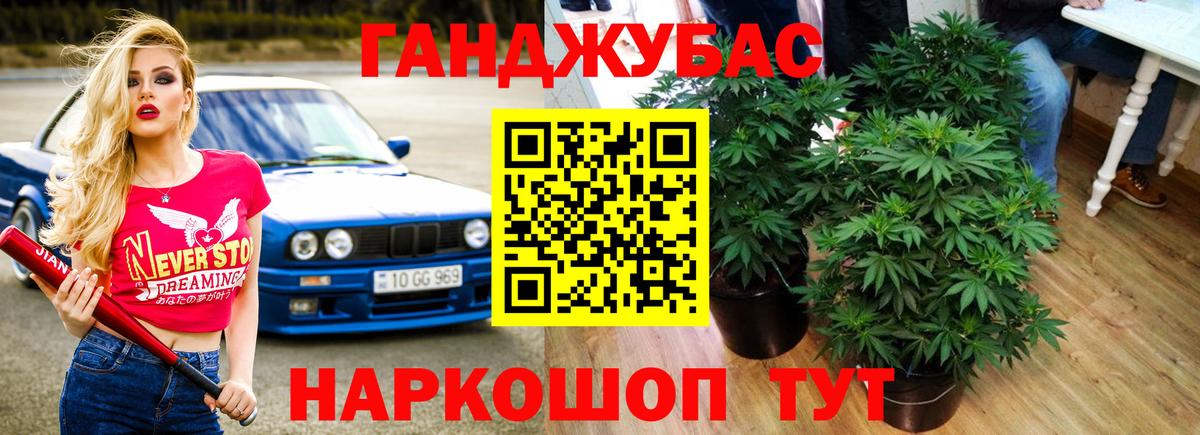 Канабис семена  Марихуана гибрид  Вход с VPN  Конопля VHQ  Осинники 